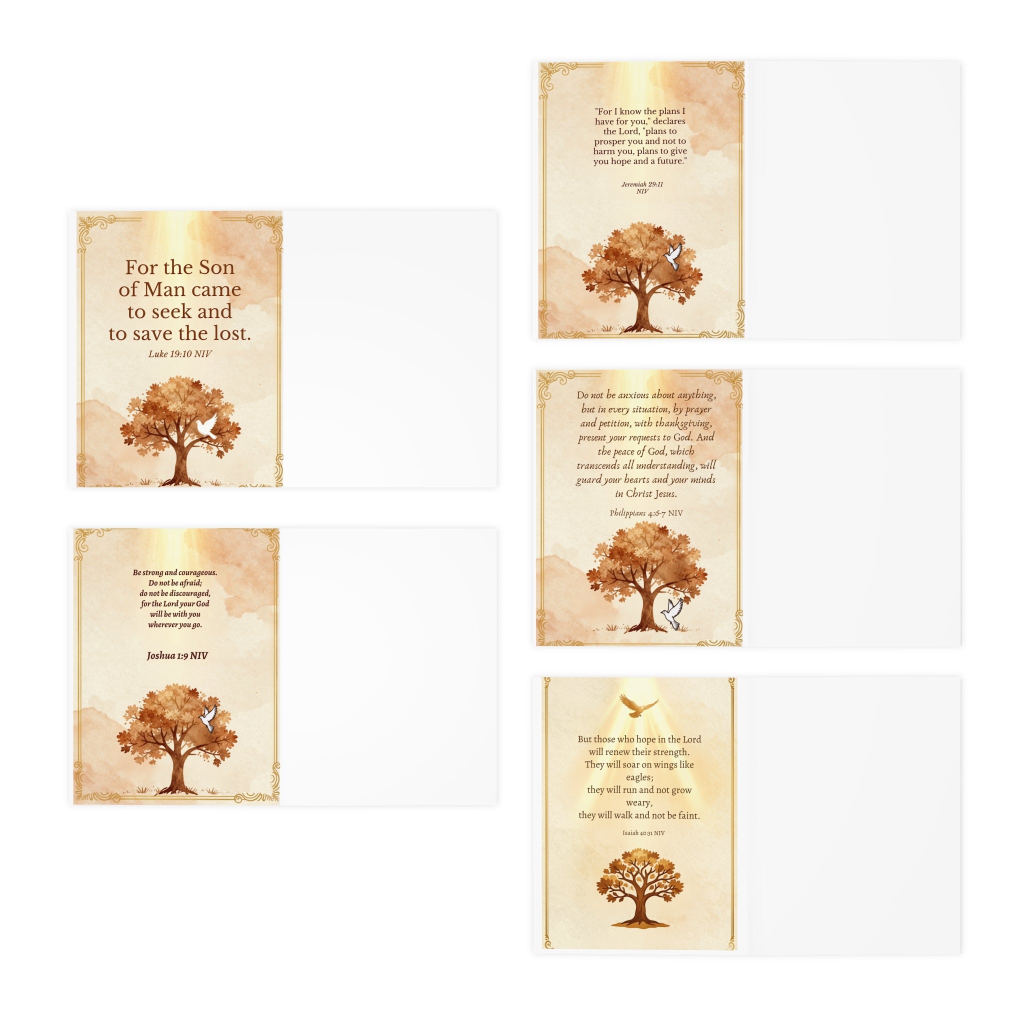 The Tenth Coin - Inspired Scripture Greeting Card Collection (5-Pack)